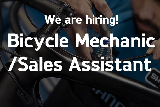 Bicycle Mechanic/Sales Assistant 