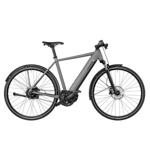 Riese & Müller Roadster vario - grey matt